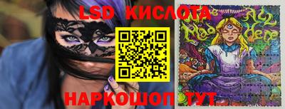 крисы Кимры