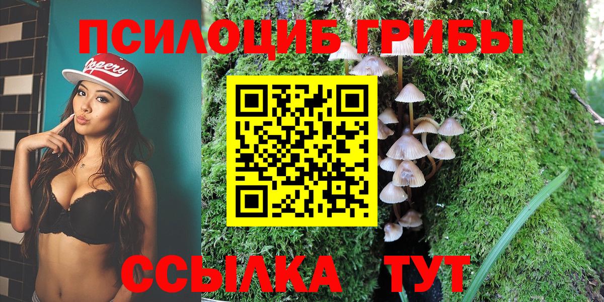 Псилоцибиновые грибы Magic Shrooms Чита